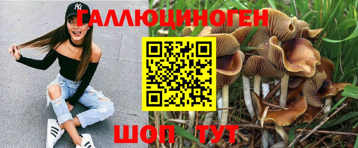 магазин    Галлюциногенные грибы Cubensis  Вход с VPN  Железногорск 