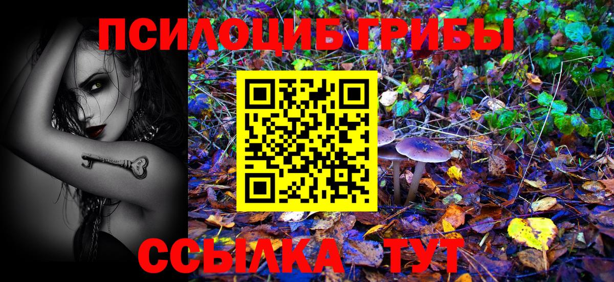 Псилоцибиновые грибы мицелий Железногорск